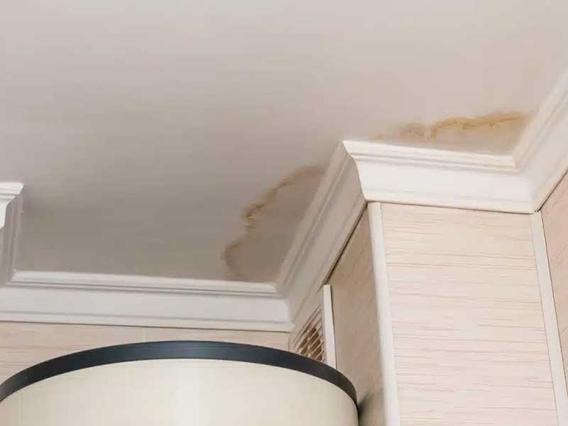 Featured image for “5 Reasons to Never Delay Roof Leak Repairs”