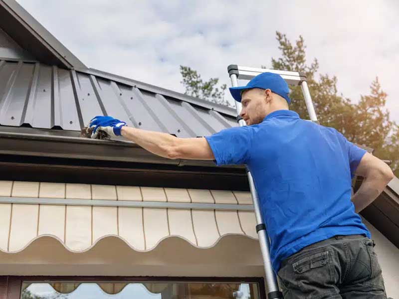 Featured image for “Spot Roof Damage Early With These Spring Cleaning Tips”