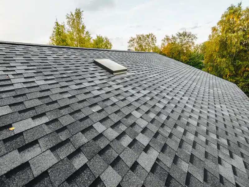 Featured image for “Is Your Roof Ventilation Working Against You?”
