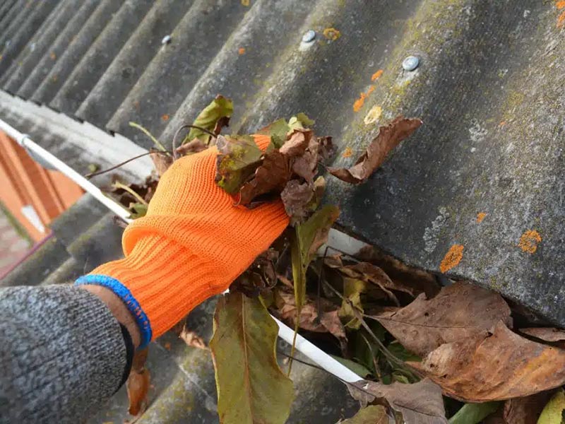 Featured image for “5 Ways to Keep Your Roof Free From Debris and Mold”