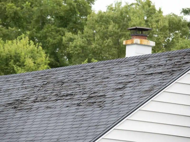 Featured image for “5 Sure-Fire Ways to Spot Roof Issues Before They Get Worse”