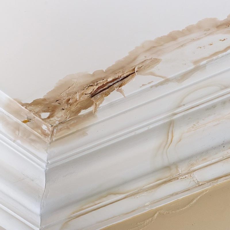 roof leak detection